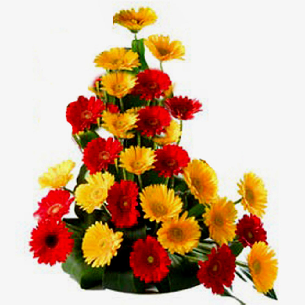  Basket of Mixed Color Gerbera