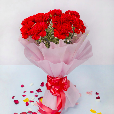 12 Red Carnations